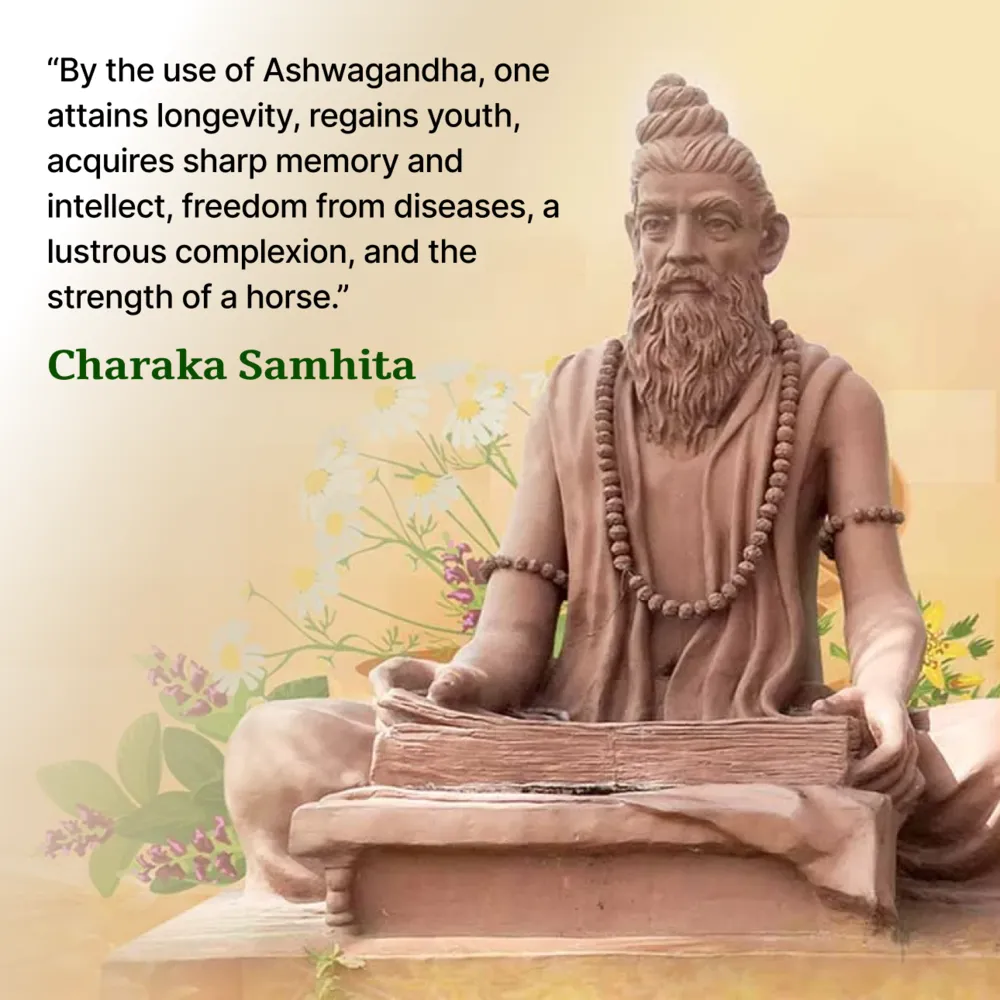 Ashwagandha Tablets - Image 6