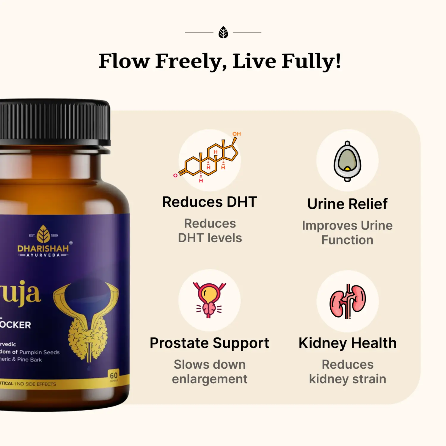 Ayuja Capsules - Image 2