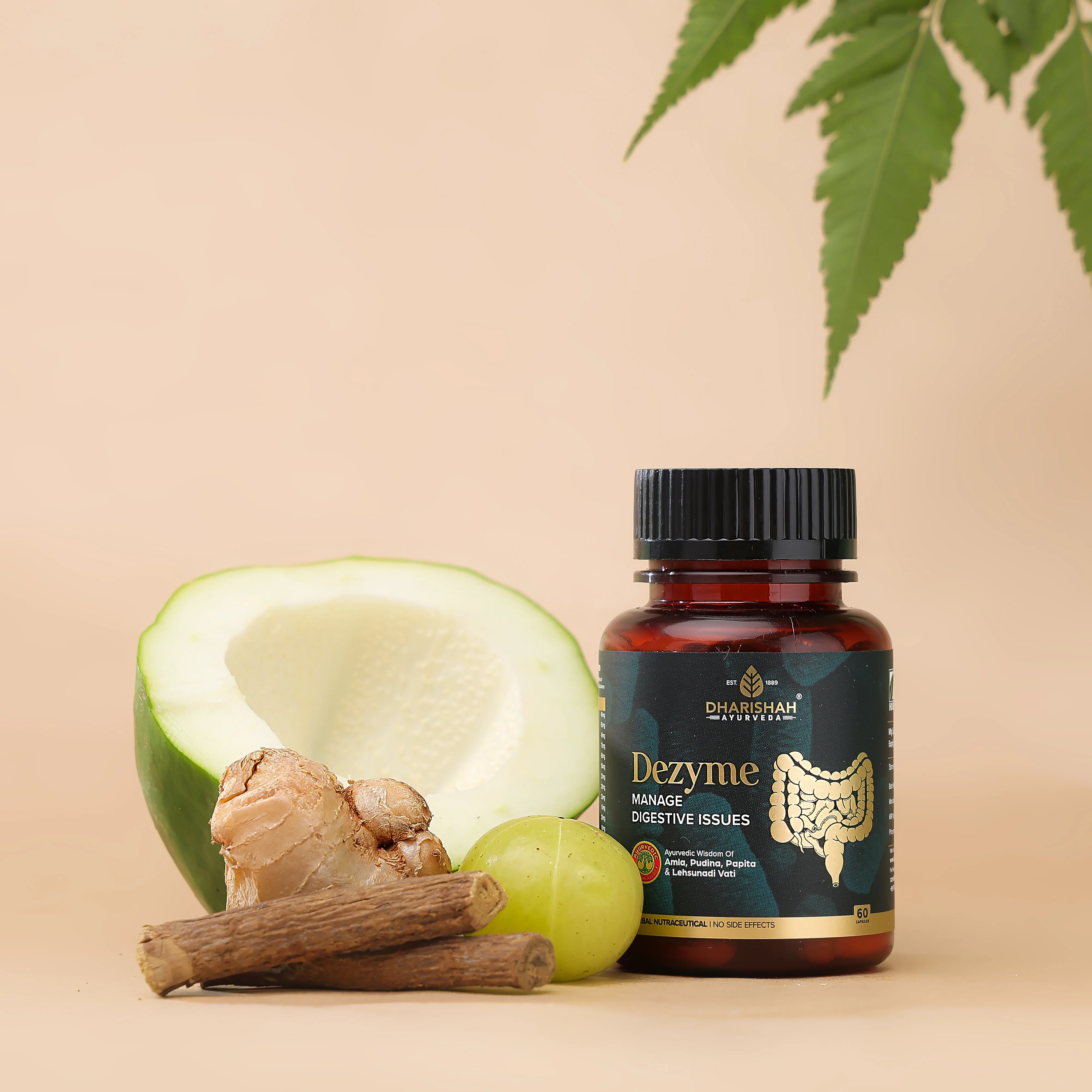 Dezyme Combo - Image 6