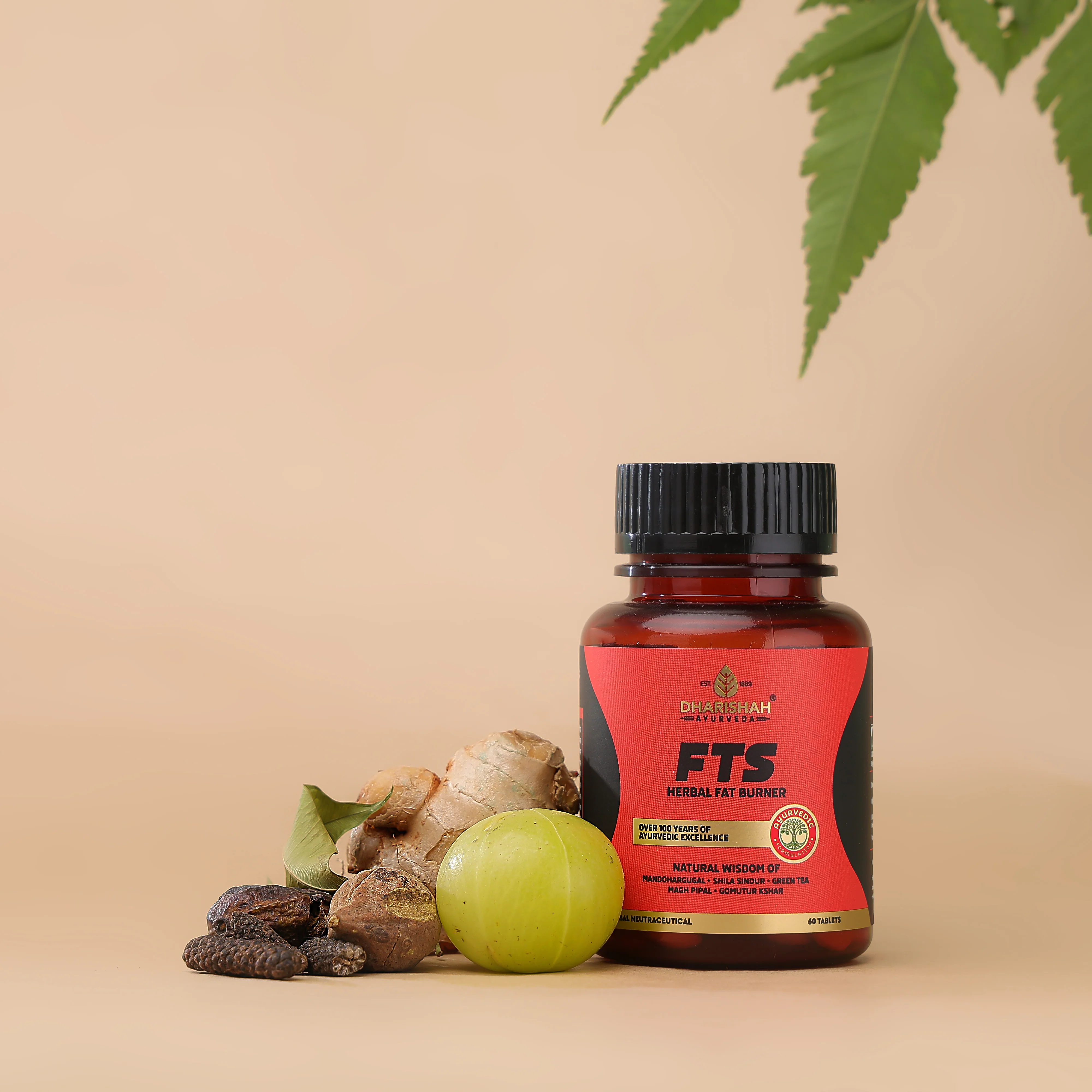 FTS Tablets - Image 4