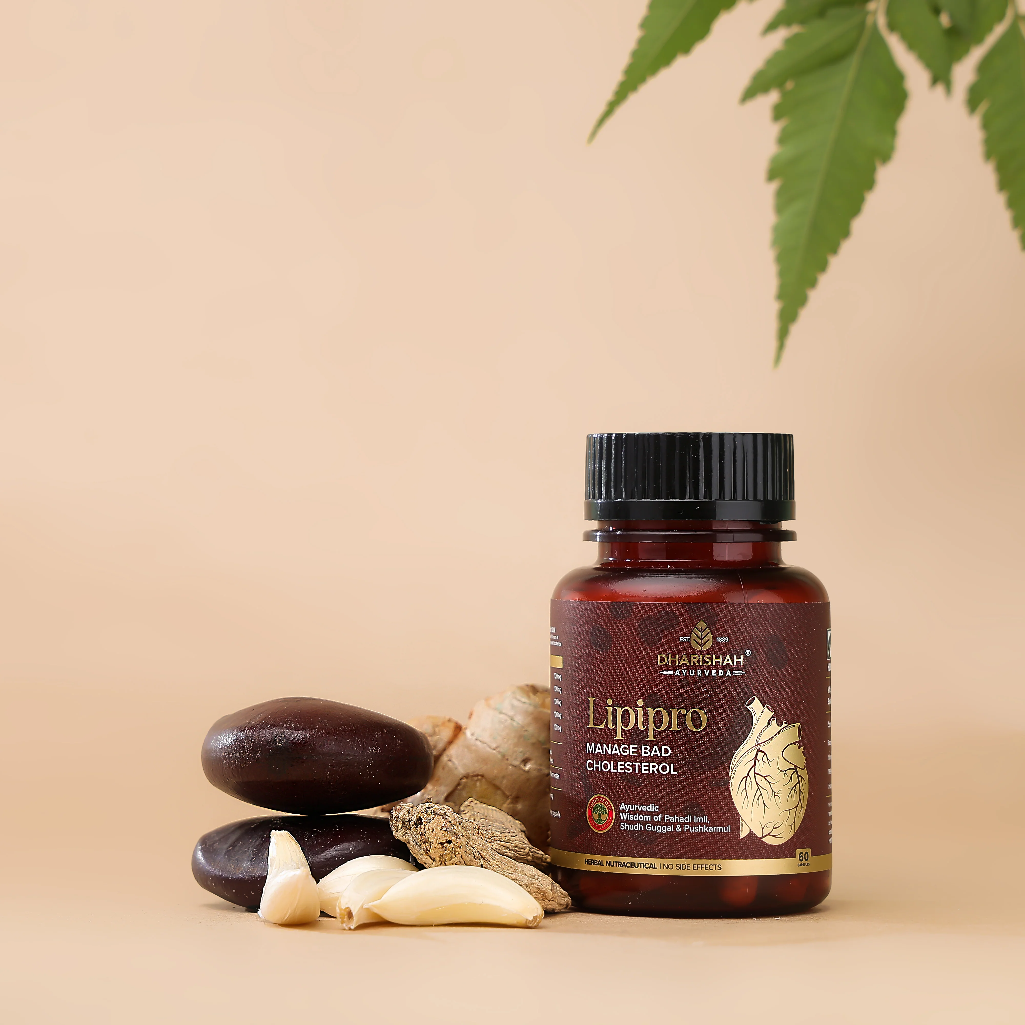 Healthy Heart Combo - Image 11