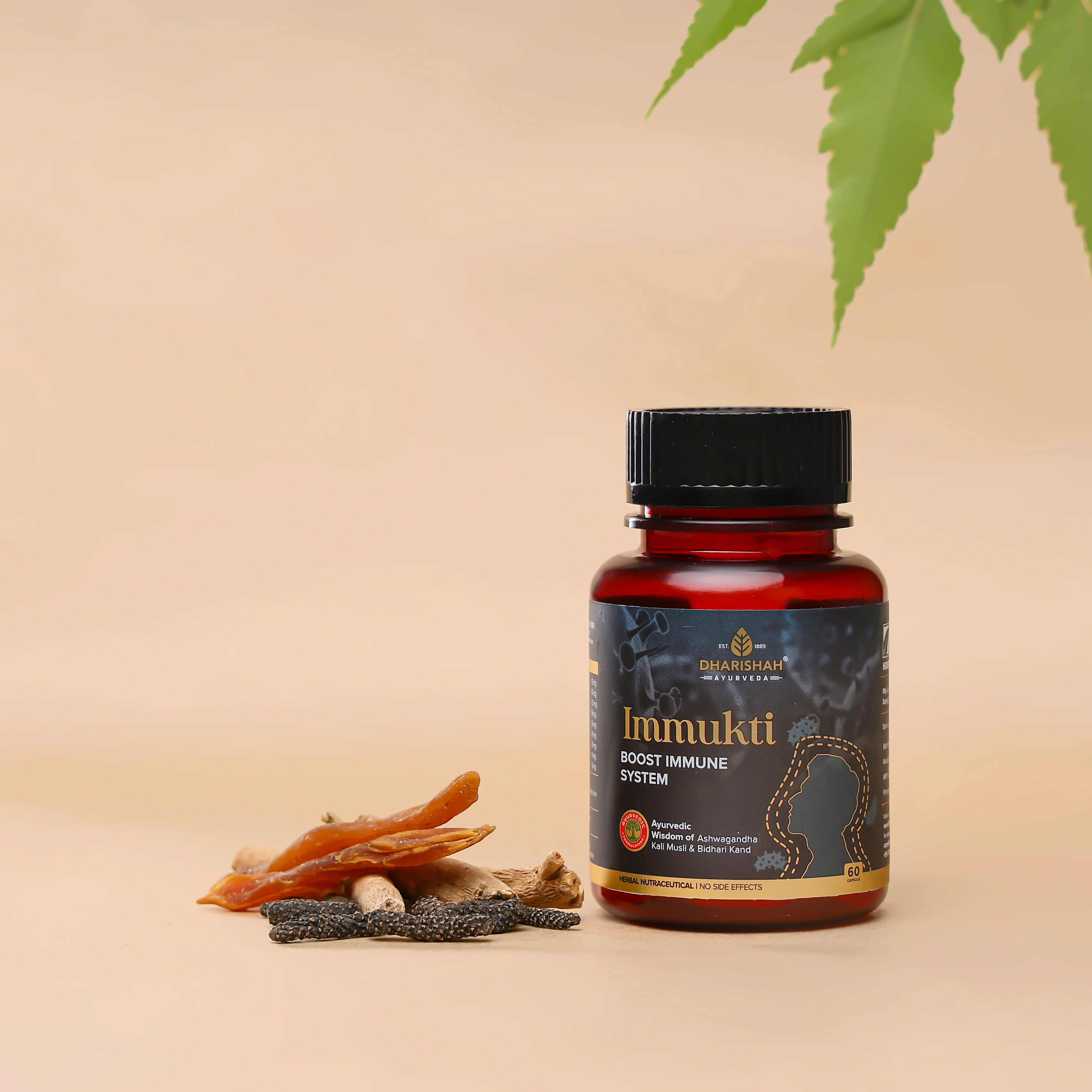 Immukti Capsules - Image 4
