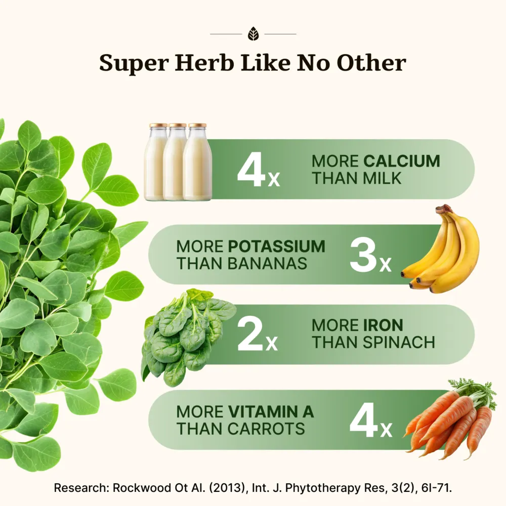 Moringa Tablets ₹1 - Image 2