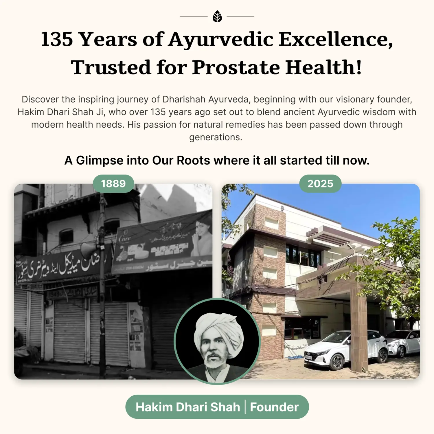 Prostpro Package - Image 10