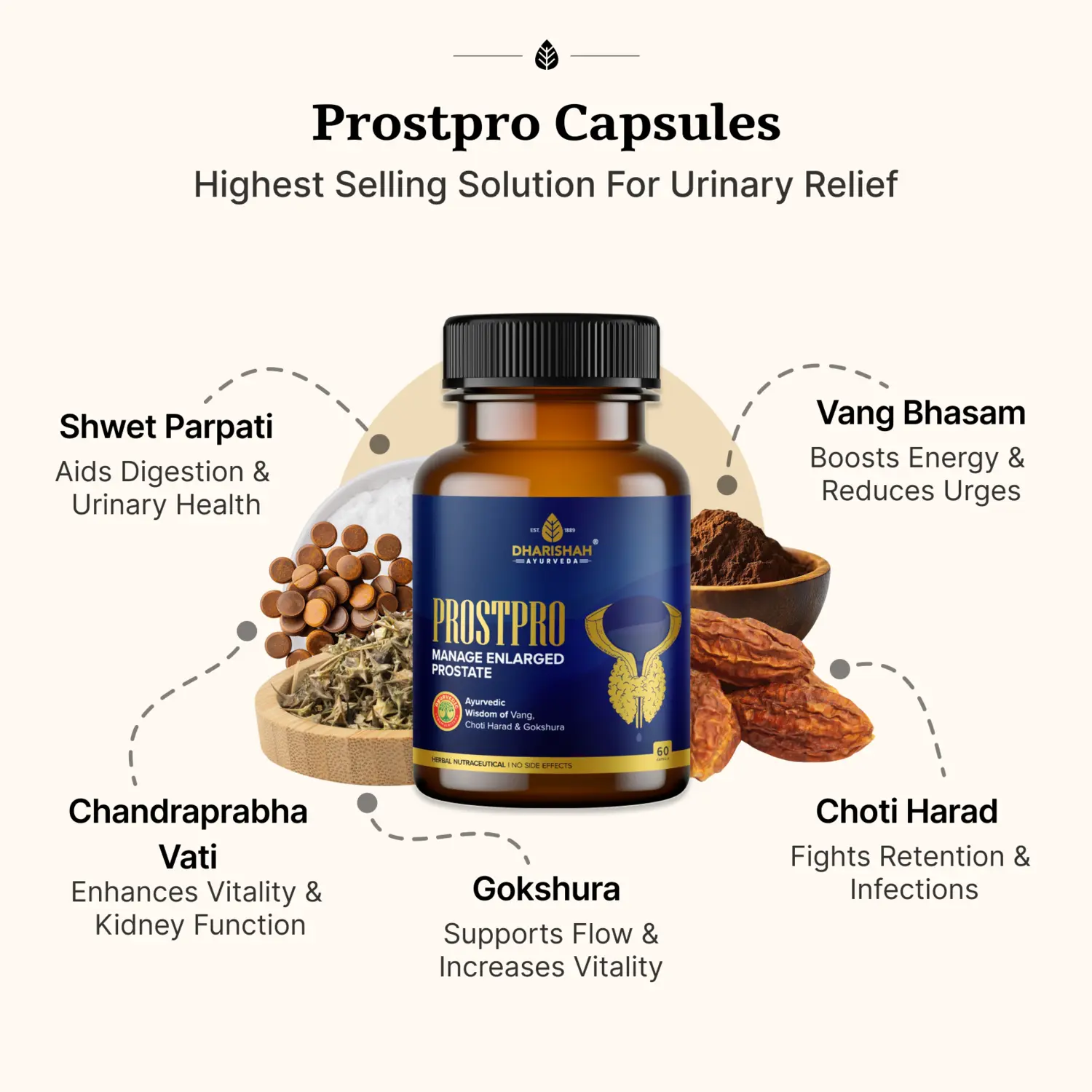 Prostpro Package - Image 4