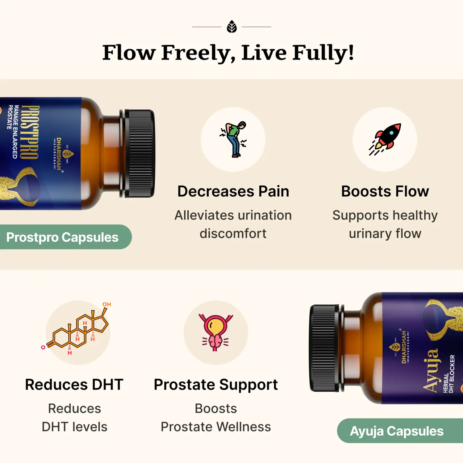 Prostpro Package - Image 5