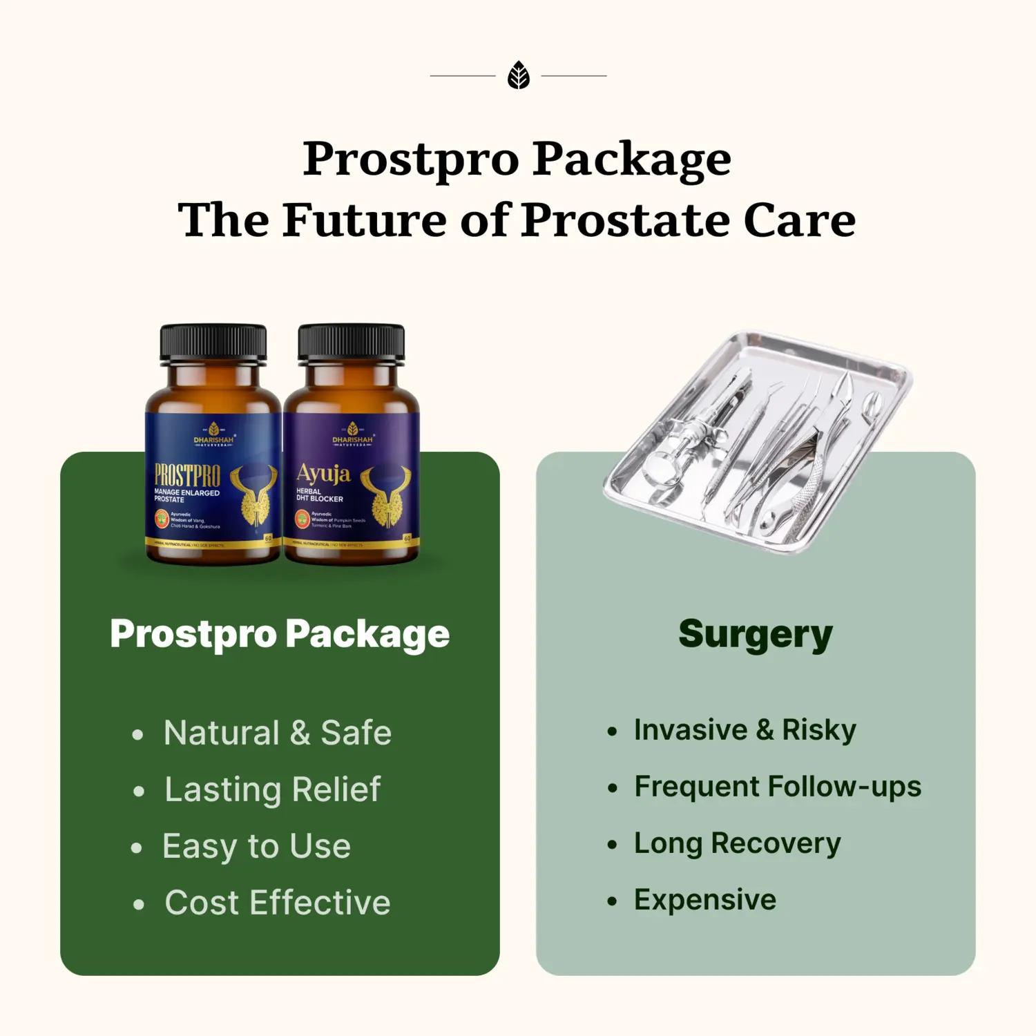 Prostpro Package - Image 6
