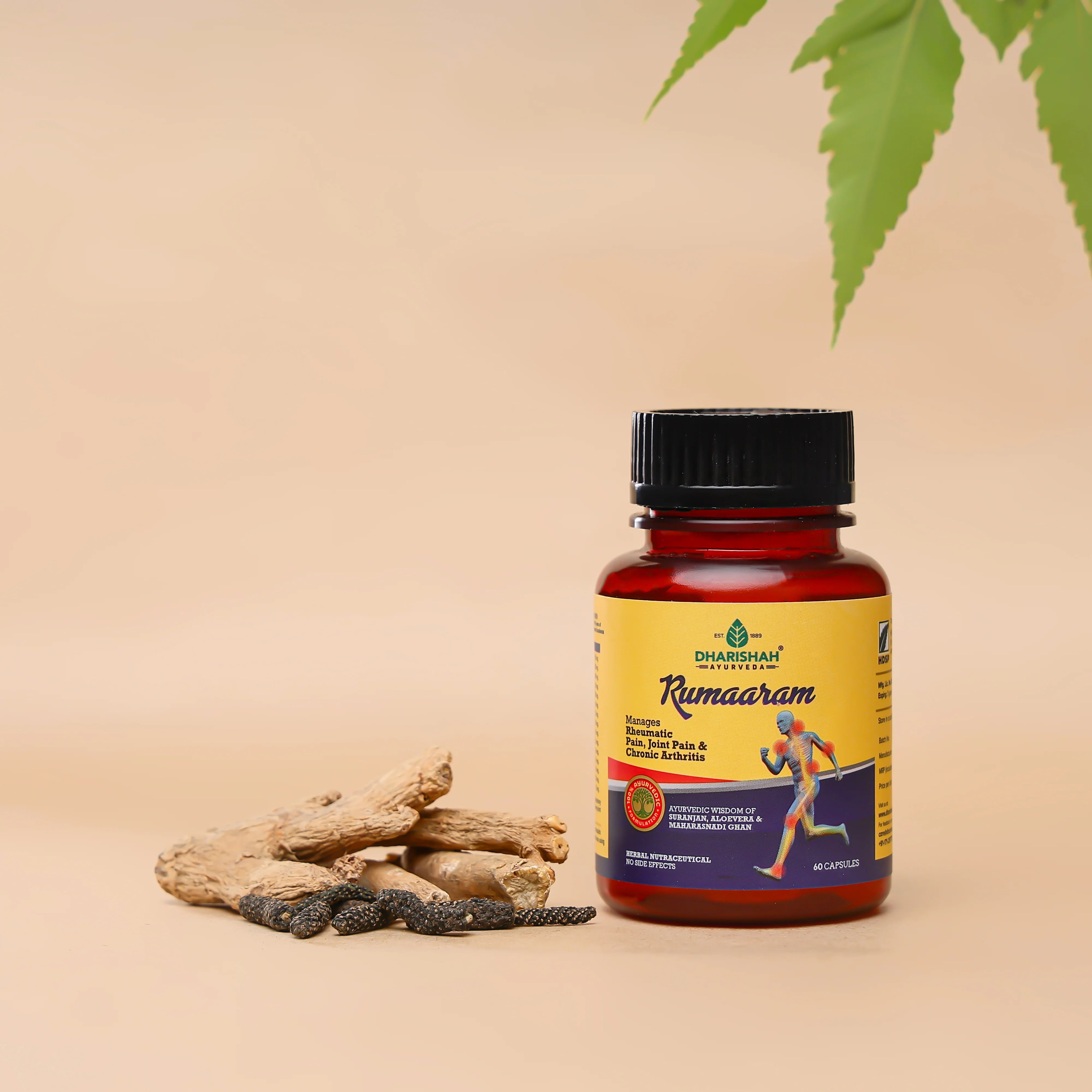 Rumaaram Combo - Image 6
