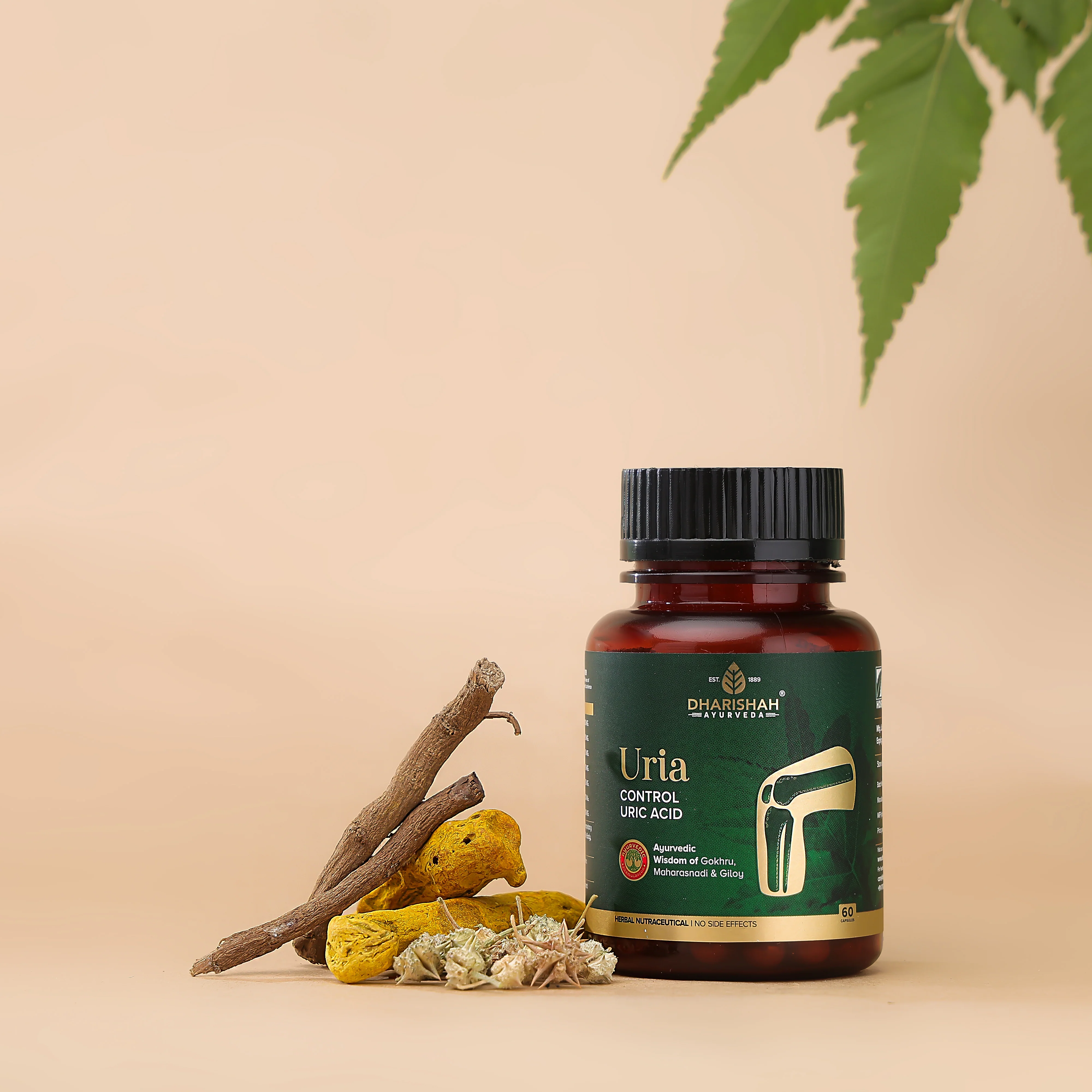 Uria Capsules - Image 4